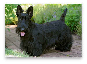 stacks_image_34FD8FA5-BAB6-4664-9135-B8C63CFBB9C5