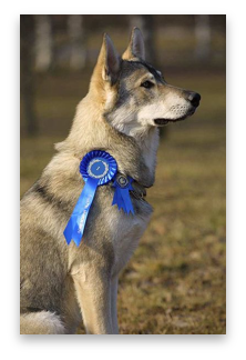 stacks_image_DC97E5B1-266E-4A89-9942-0999CE9DE4FE