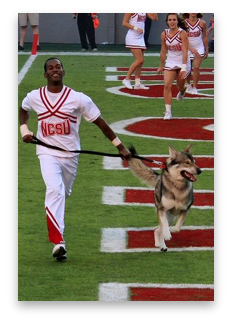 stacks_image_C9A7A695-F26C-4CE7-8995-C9C8D786768A