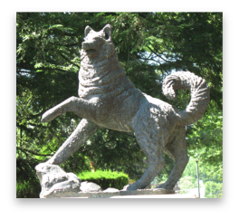 stacks_image_91B4AE3C-AFF7-4127-A033-692A7939DE96