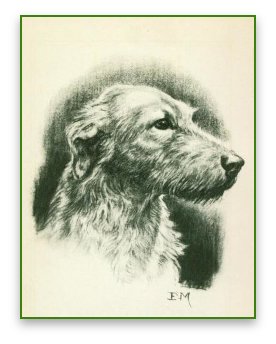 stacks_image_5C21F690-1943-4F2D-AC09-C2E63F05FD3F