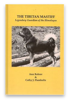 stacks_image_C4D07383-C1F0-4887-A9CC-D48B97F2866C