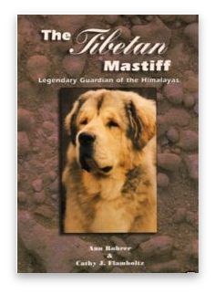 stacks_image_182B1B63-C42E-4B33-9884-69C9298DCA3C