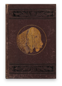 stacks_image_38702B58-ED77-4374-8915-AD5D303BCA85