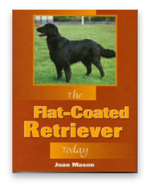 stacks_image_BF808BEC-F097-4581-8683-B2FCE81DDCCA