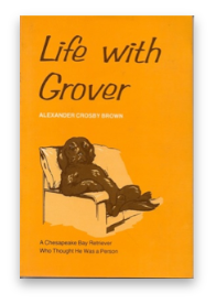 stacks_image_690AE23C-270A-4F0D-912D-21E5BADED5DC