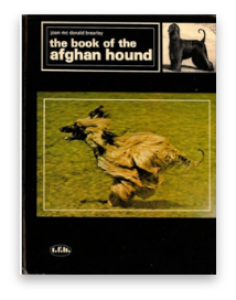 stacks_image_76A140DD-15E6-47A1-80F6-77E381D6B181