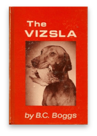 stacks_image_D3EC7263-2BDE-4A76-9C97-AADA0DD1FBC7