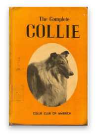 stacks_image_DDBEC604-40A3-4B8E-BB1F-07EBF2DC4FBC