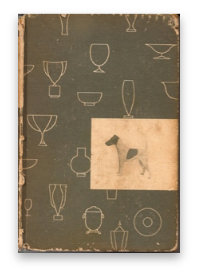 stacks_image_88A1537A-E0B4-41C0-A87A-DAFADEC33157