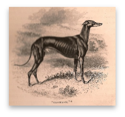 stacks_image_6B244E03-9F67-4154-AD0F-55B28756AFD8