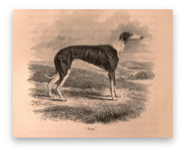 stacks_image_D6E1C5C1-E176-4C05-8801-5F8463AA18B7