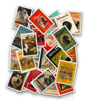 stacks_image_3EDCB5F4-5013-409C-BD22-F07554437D8C